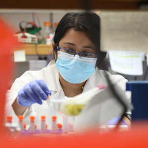 A researcher works in a lab