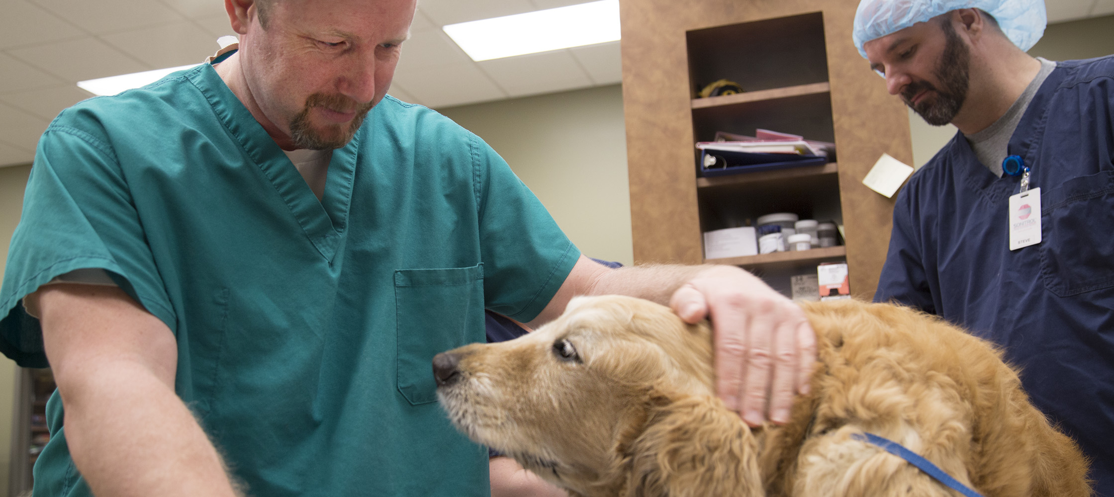 Grafinger pets one of his four-legged patients after treatment.