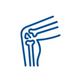 Icono - Articulación