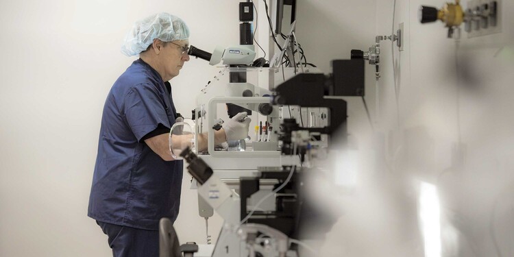 Un Médico trabaja con muestras bajo un microscopio.