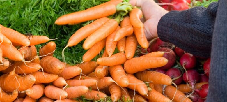 Myth or Fact: Eating Carrots Improves Eyesight