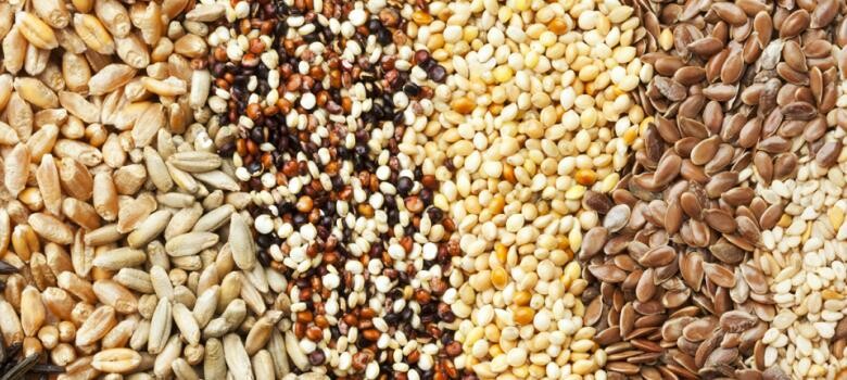 Are Seeds Really Healthy or Just Trendy?