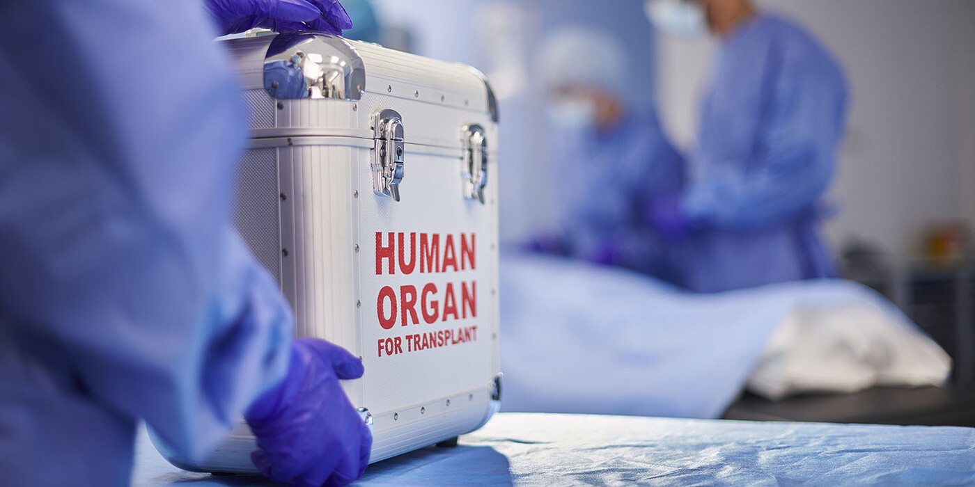 a container with a human organ in the operating room being prepared for transplant