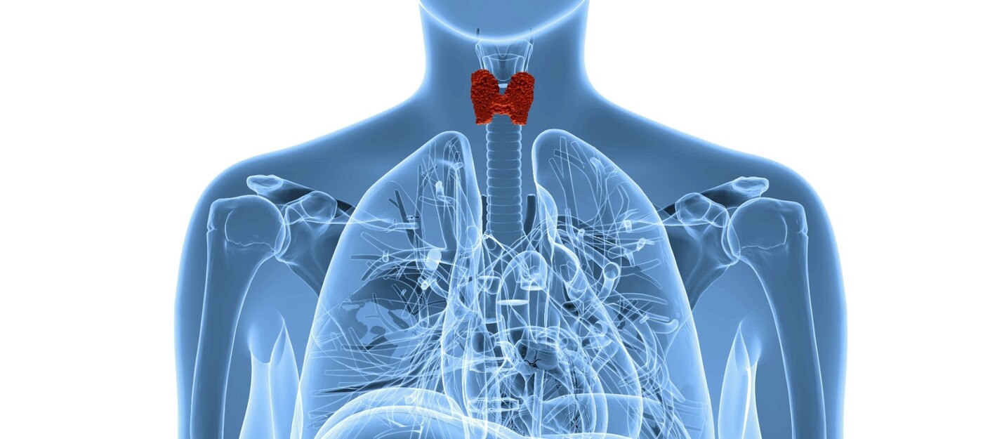 A Duke study finds patients who need their thyroid gland removed should seek surgeons who perform 25 or more thyroidectomies a year for the least risk of complications.