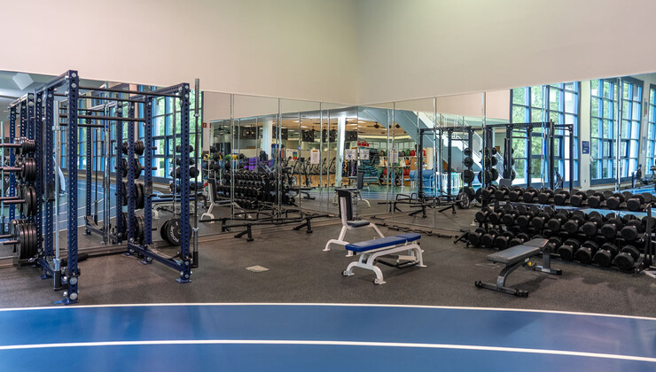 Weights and equipment in the gym