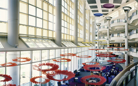 Duke Child and Adolescent Gender Care Clinic